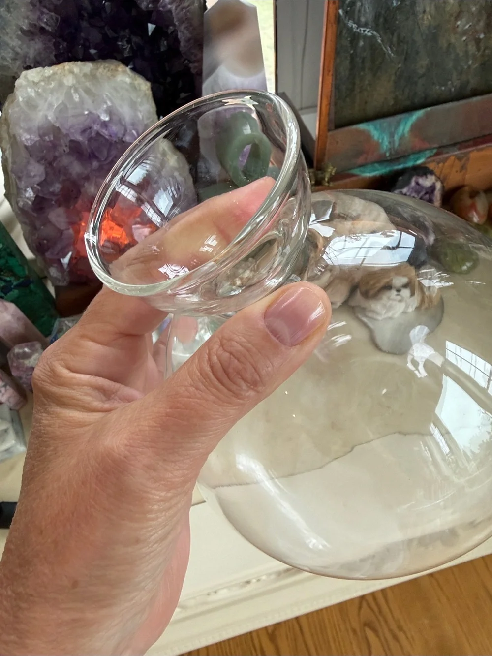 Clear Glass Bulb Vase - Transparent Globe Accent